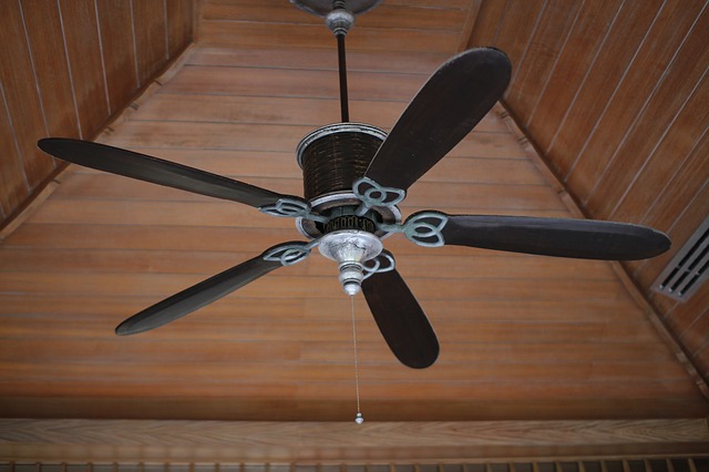 Ceiling Fans Installation